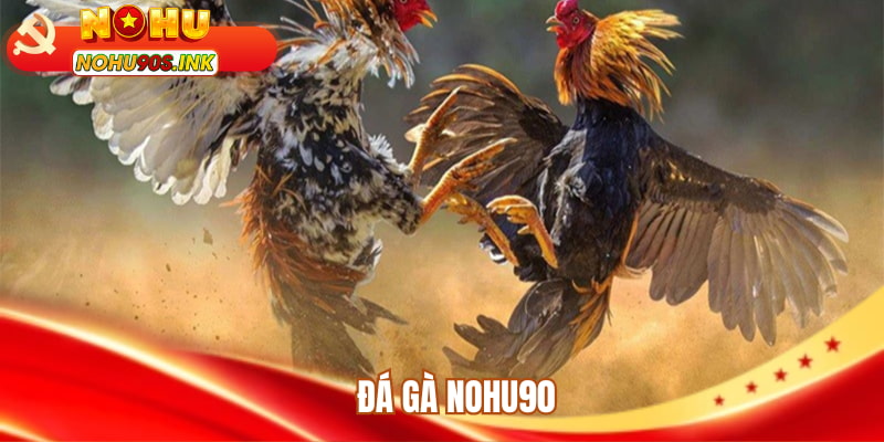 Đá gà NOHU90